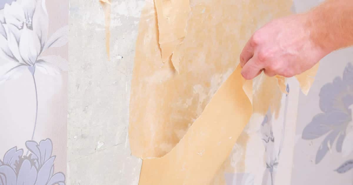 Une main enlève du papier peint sur un mur en placo (ba13).