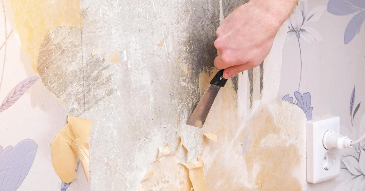 Décollage d'un papier peint impossible à enlever à l'aide d'une spatule.
