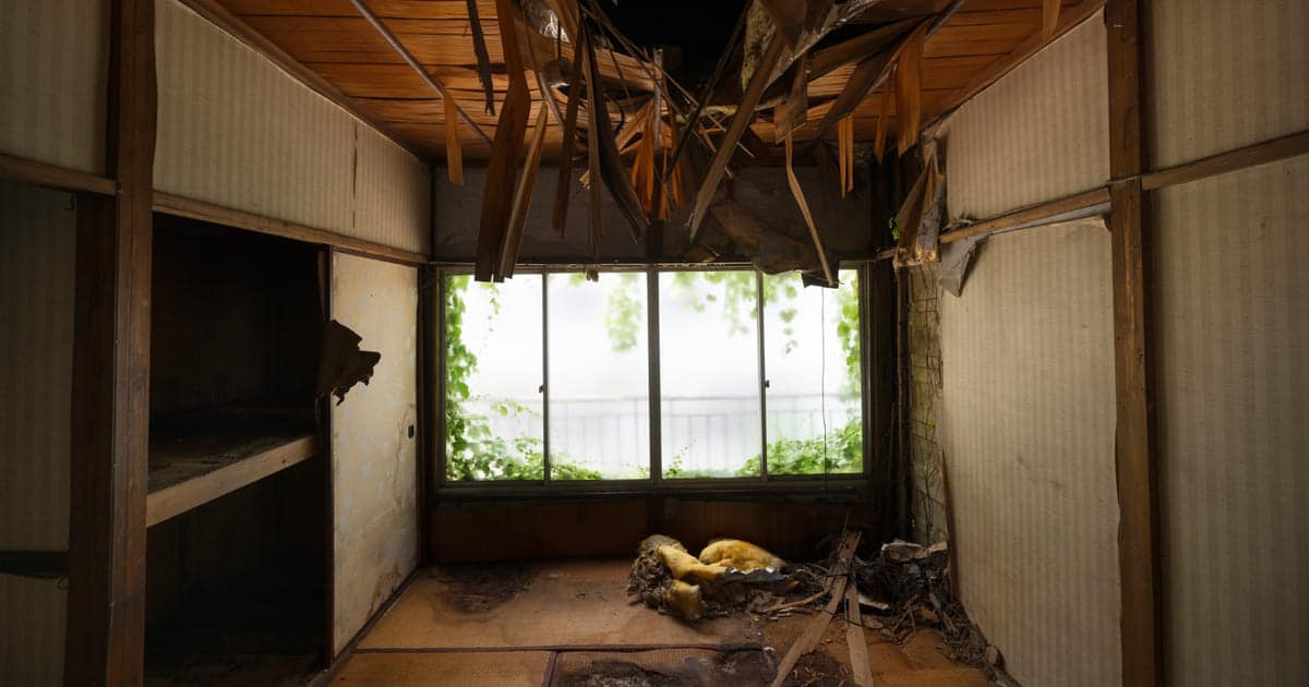 Plafond en bois s'effondrant sur une pièce en travaux.