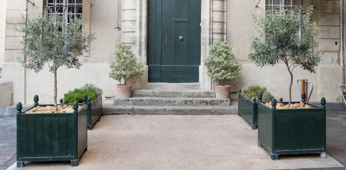 Belle entrée de maison en pierres, mise en valeur par plusieurs bacs de plantes vertes.